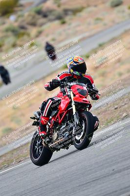 media/Apr-26-2025-2WTD (Sat) [[797c348bd3]]/C Group/240pm/